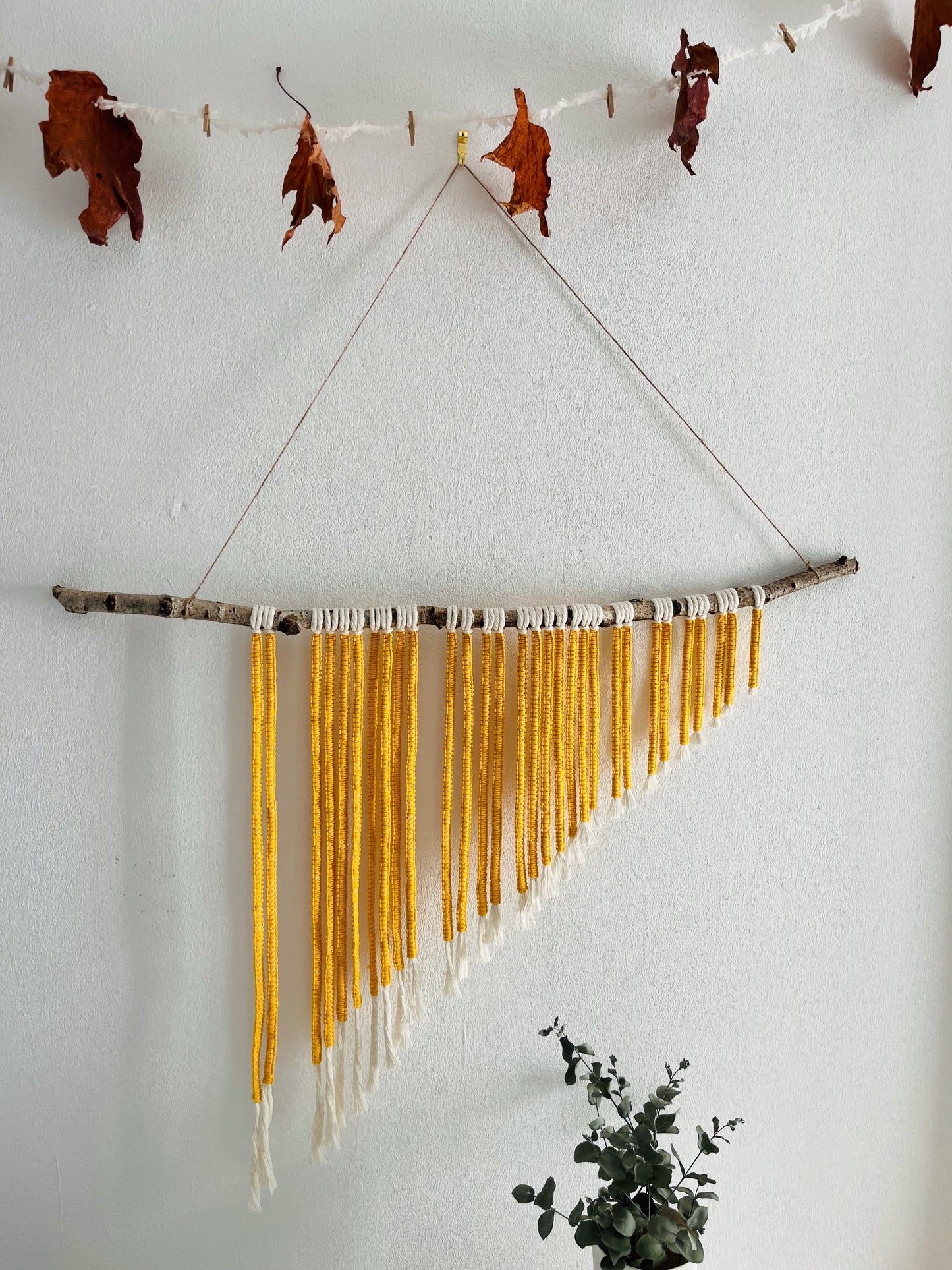 Devil's Canyon: Macramé wall hanging