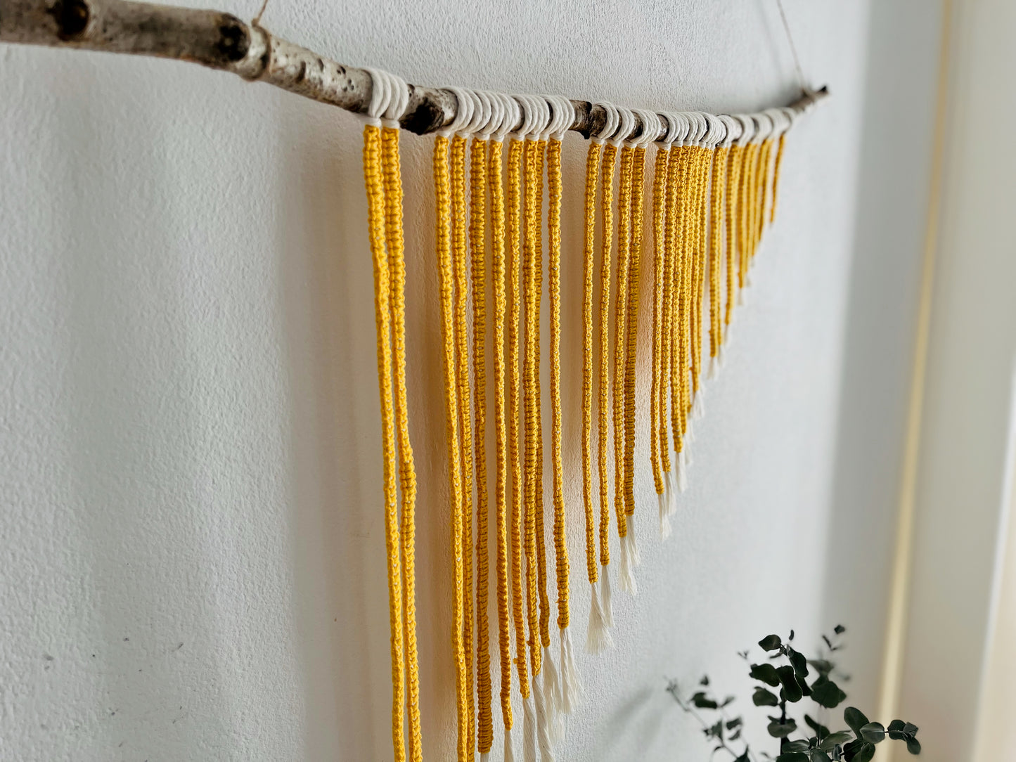 Devil's Canyon: Macramé wall hanging